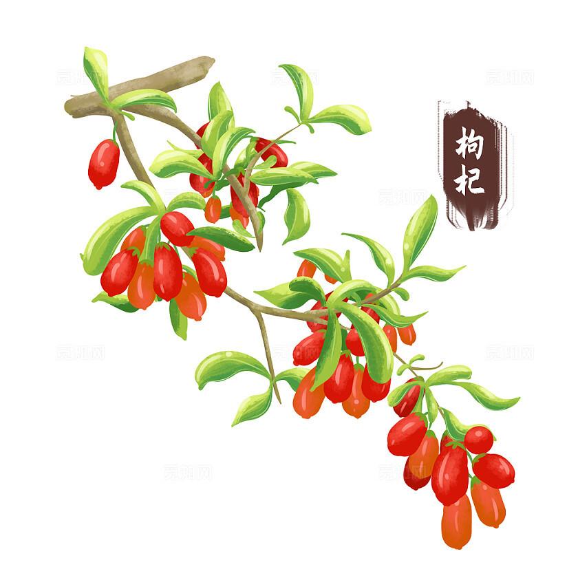中医护理技术传承与创新