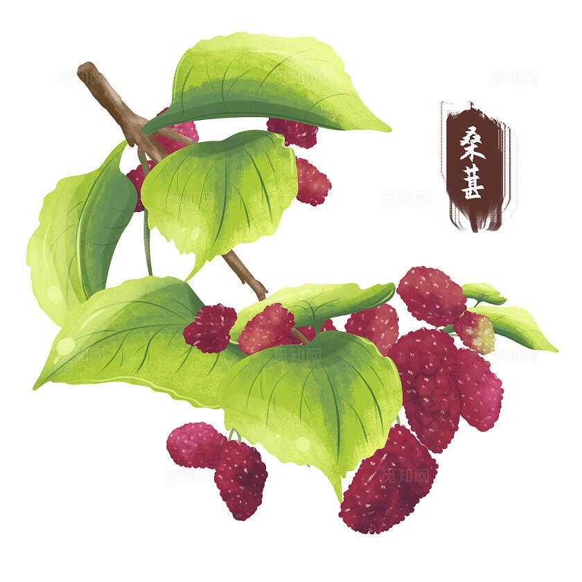 燕赵医学学术研究