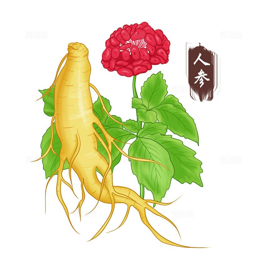 血液病的中医药治疗
