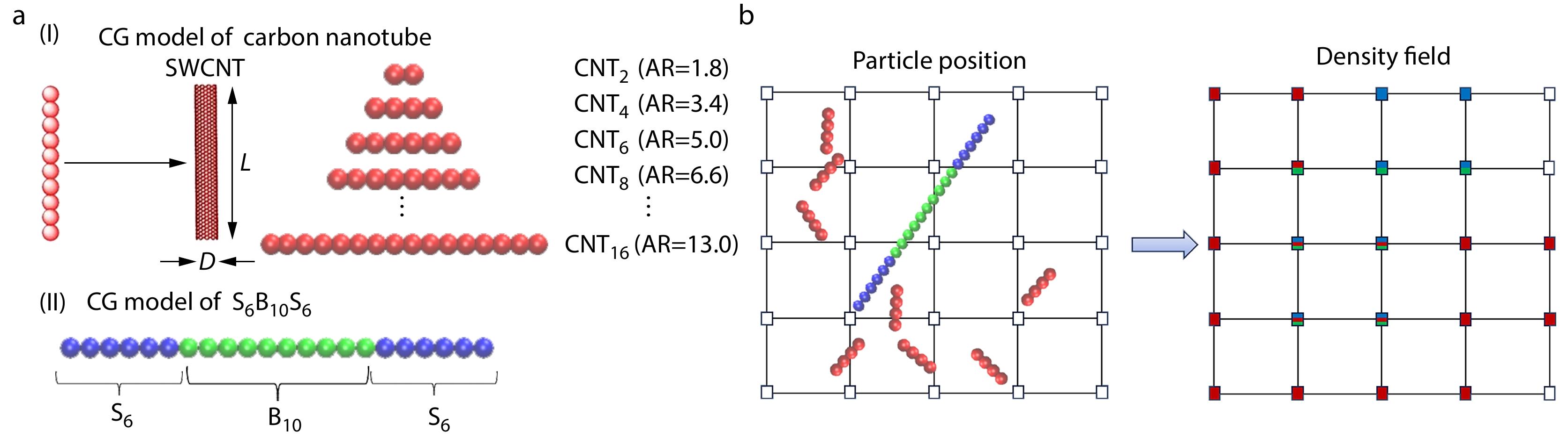 Strategic Regulation of Carbon Nanotube Dispersion with Triblock Copolymer Phase Domains: Insights from Molecular Simulations