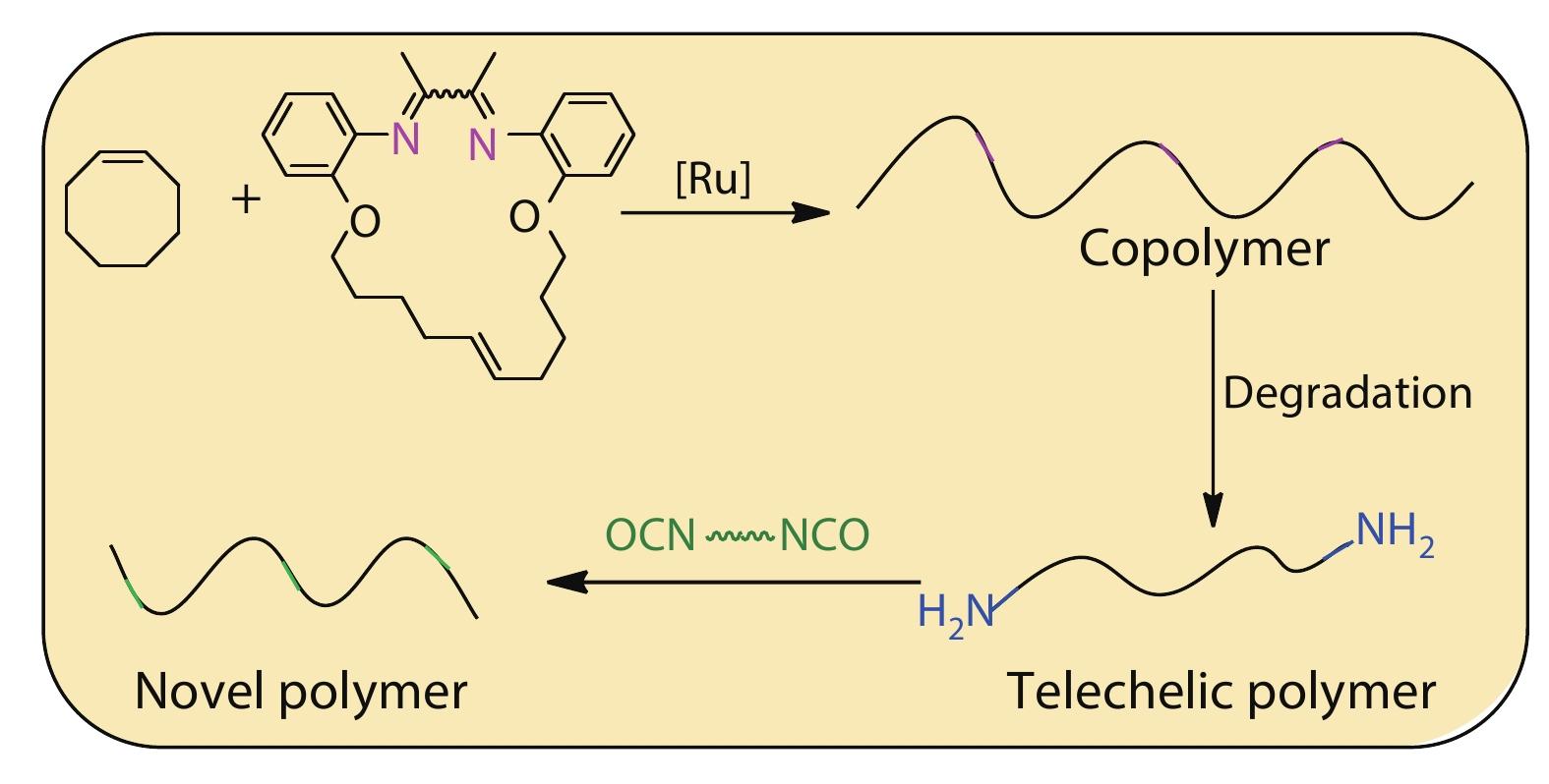 Ring-opening Metathesis Polymerization to Access Degradable Imine-based Polymers