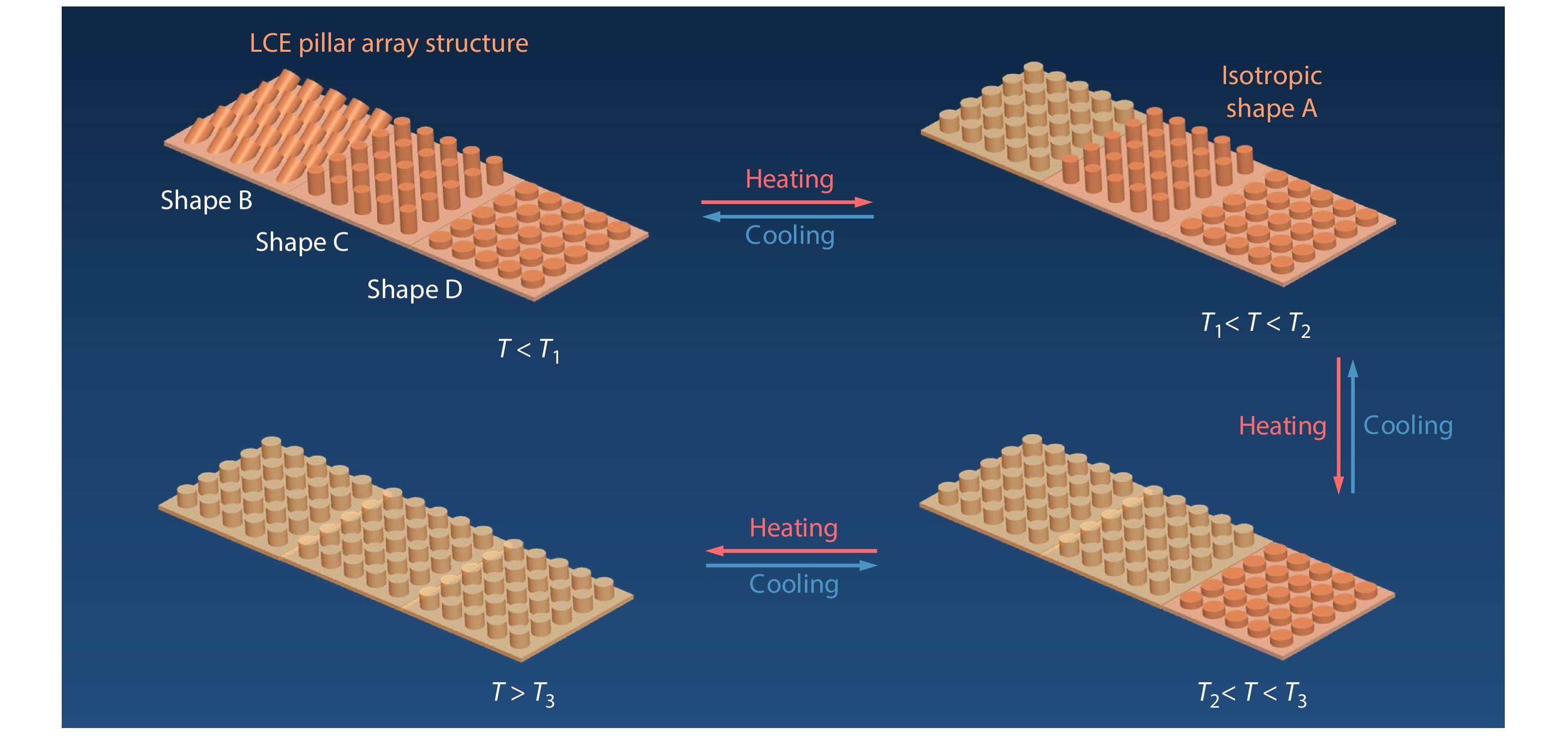 Active Pillar Array Structure by Solvent-free Liquid Crystal Elastomer Resin