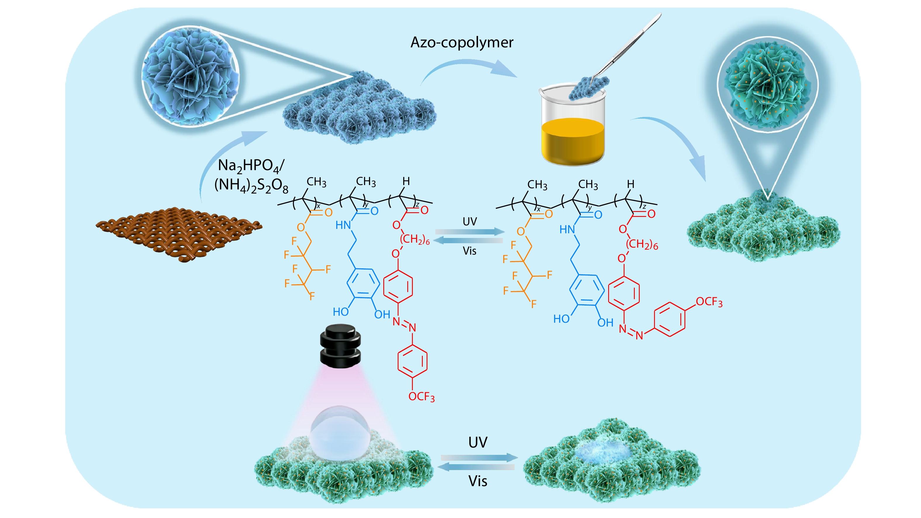 Robust Photo-responsive Superwetting Surfaces on Hierarchical-structured Copper Mesh <italic style="font-style: italic">via</italic> Dip-coating with Mussel-inspired Azo-copolymer