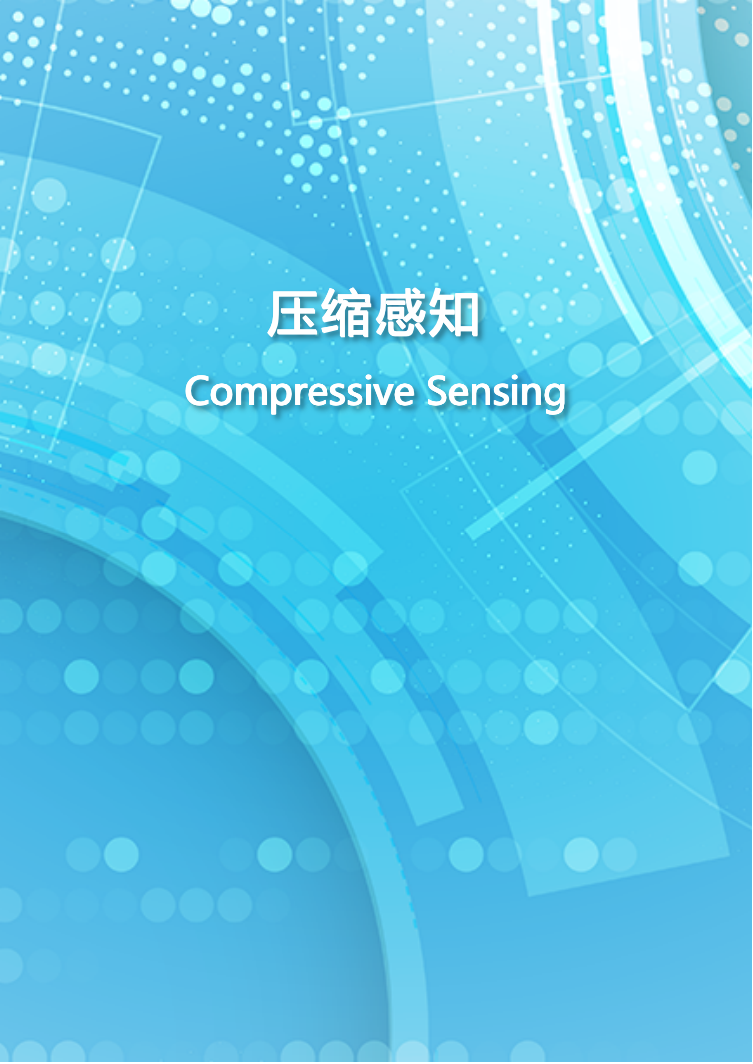 Compressive Sensing
