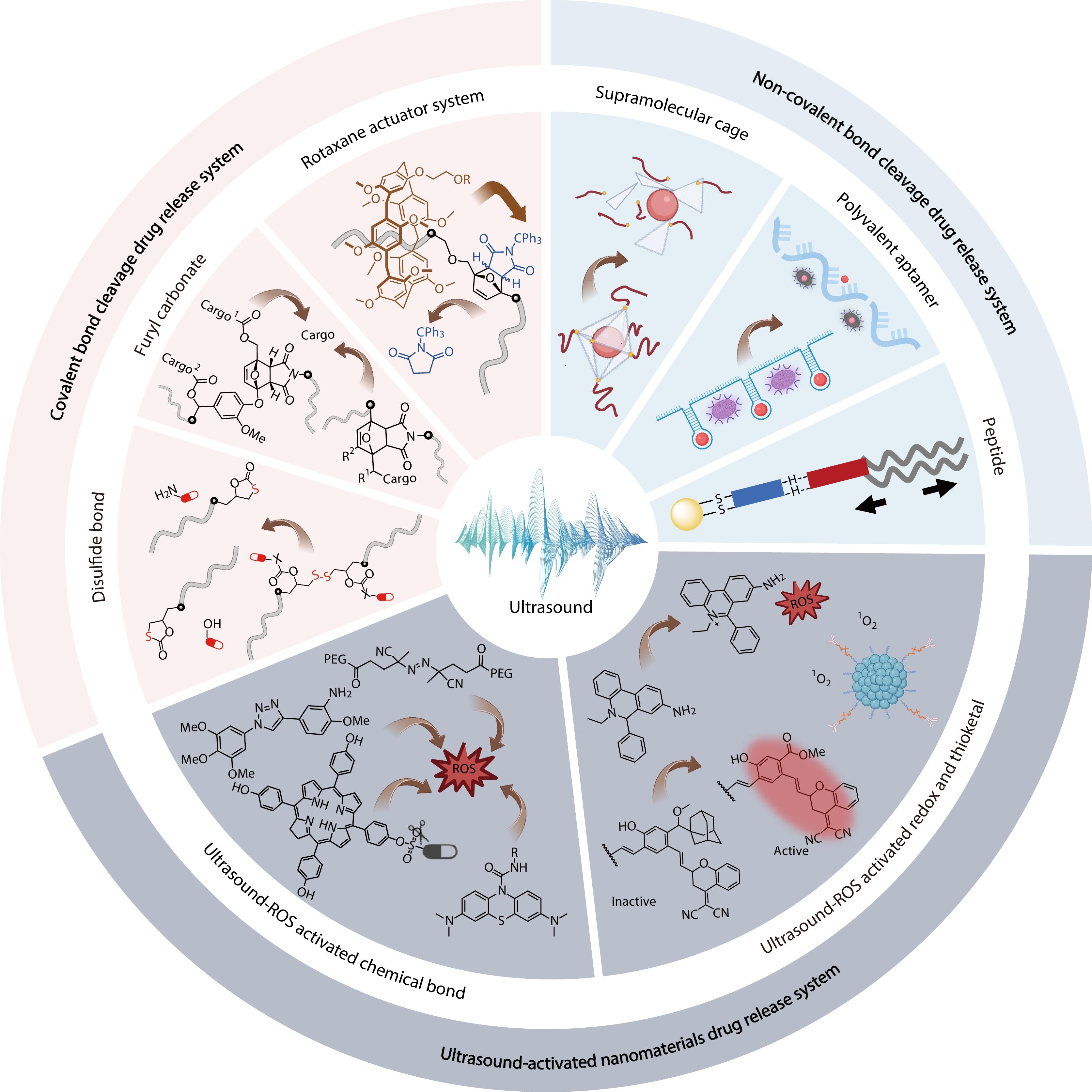 A Brief Review on Ultrasound Induced Drug Activation Systems