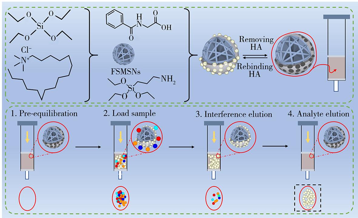 基于花簇状介孔硅的马尿酸分子印迹聚合物的制备及其吸附性能研究