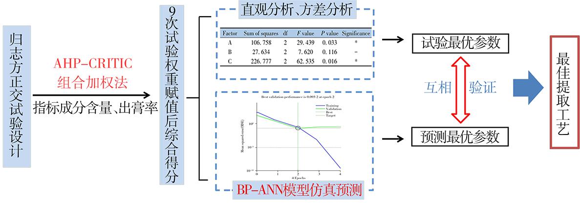 AHP-CRITIC结合BP-ANN的归志方提取工艺优化研究