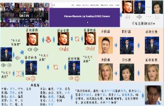 面向人脸视频防伪检测的大规模中文数据测评基准