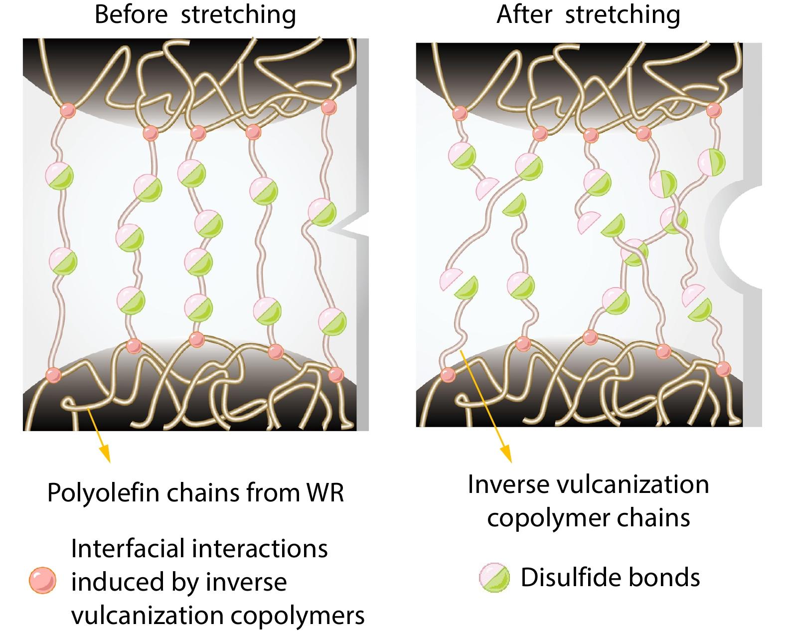 Toughening Recycled Waste Rubbers by Dynamic Interactions for Stress Deconcentration