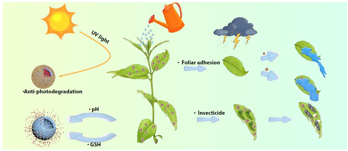 pH/Glutathione Dual-stimuli-responsive Poly(acrylic acid)-coated Hollow Mesoporous Organosilica Nanospheres for Smart Pesticide Delivery