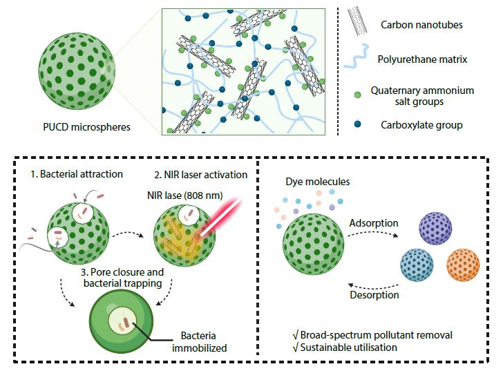 Bipolar and NIR-responsive Polyurethane Microspheres as a Bifunctional Adsorbent for Simultaneous Capture of Bacteria and Removal of Dyes