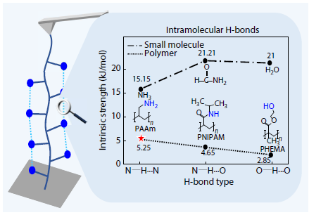Unexpectedly Robust N–H···N Hydrogen Bonds in an Individual Polyallylamine Chain