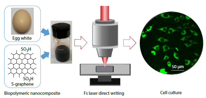 Femtosecond Laser Direct Writing of Biopolymeric Nanocomposite for Biocompatible 3D Features