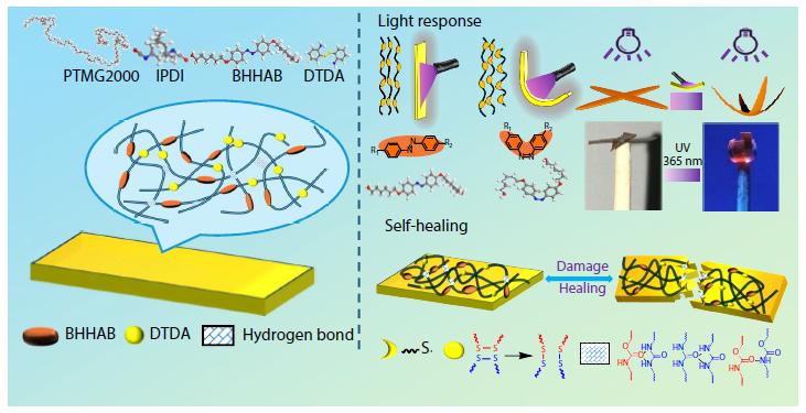 Engineering Light-responsive Azo-polyurethane Actuators: Integrated Self-healing and Reshaping <italic style="font-style: italic">via</italic> Synergistic Disulfide-hydrogen Bonding