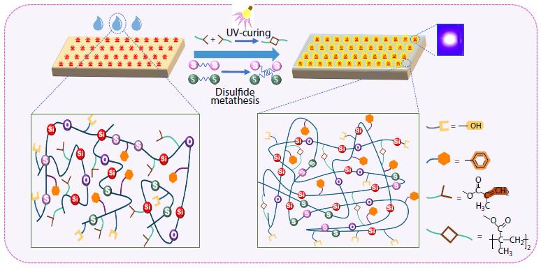 UV-curable, Transparent, and Low Volume-shrinkage Silicones for Efficient Mini-LED Encapsulation