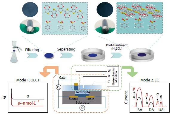 Dual-mode All-PEDOT:PSS Organic Electrochemical Transistors: Enzyme/Metal-free Platform for Ultrasensitive Multiplexed Biosensing of Biomarkers