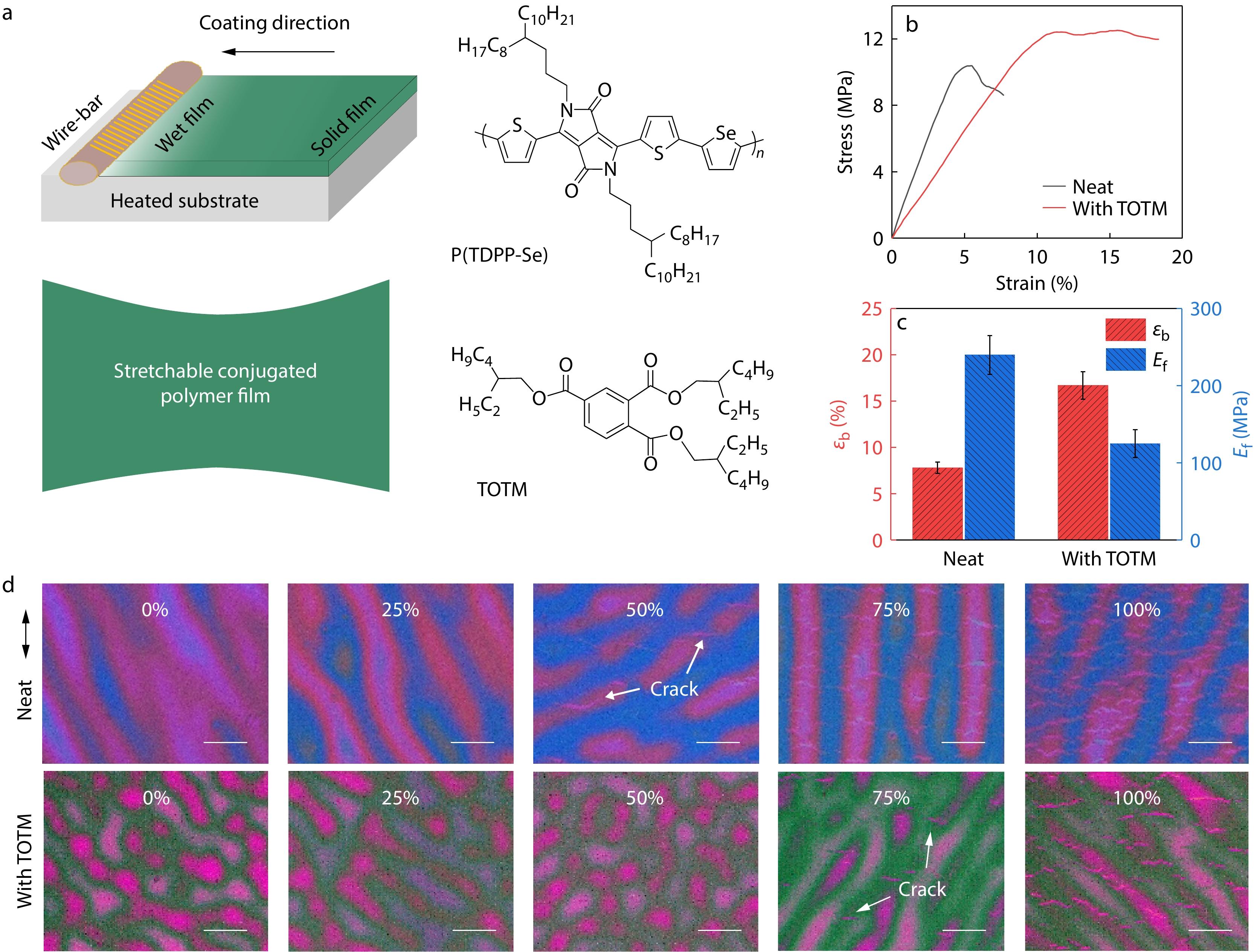 Plasticizer Enhanced Chain Orientation and Dynamics for Printed Stretchable Conjugated Polymer Films