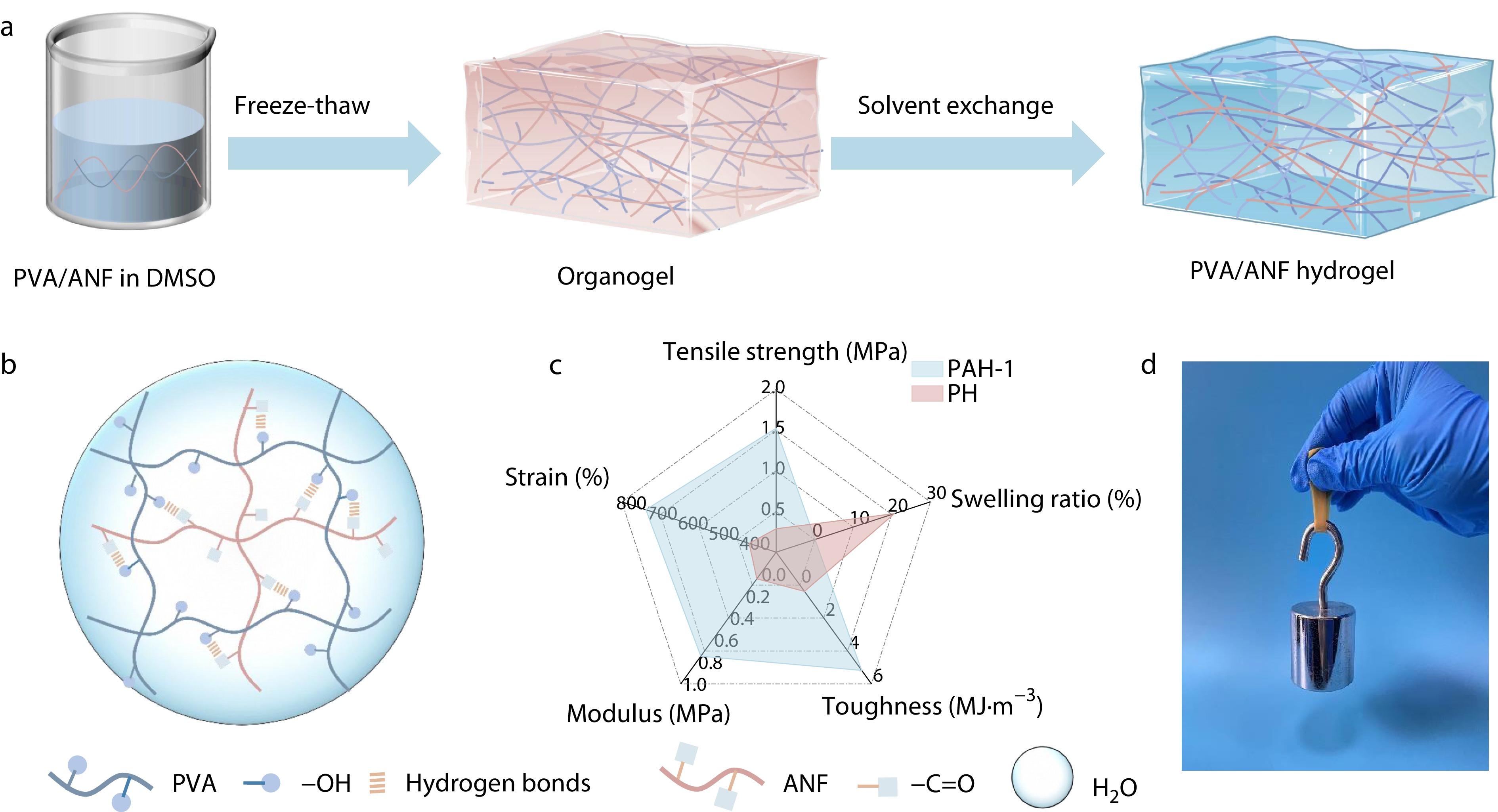 Anti-swelling and Mechanically Robust Composite Hydrogels in Aquatic Environments