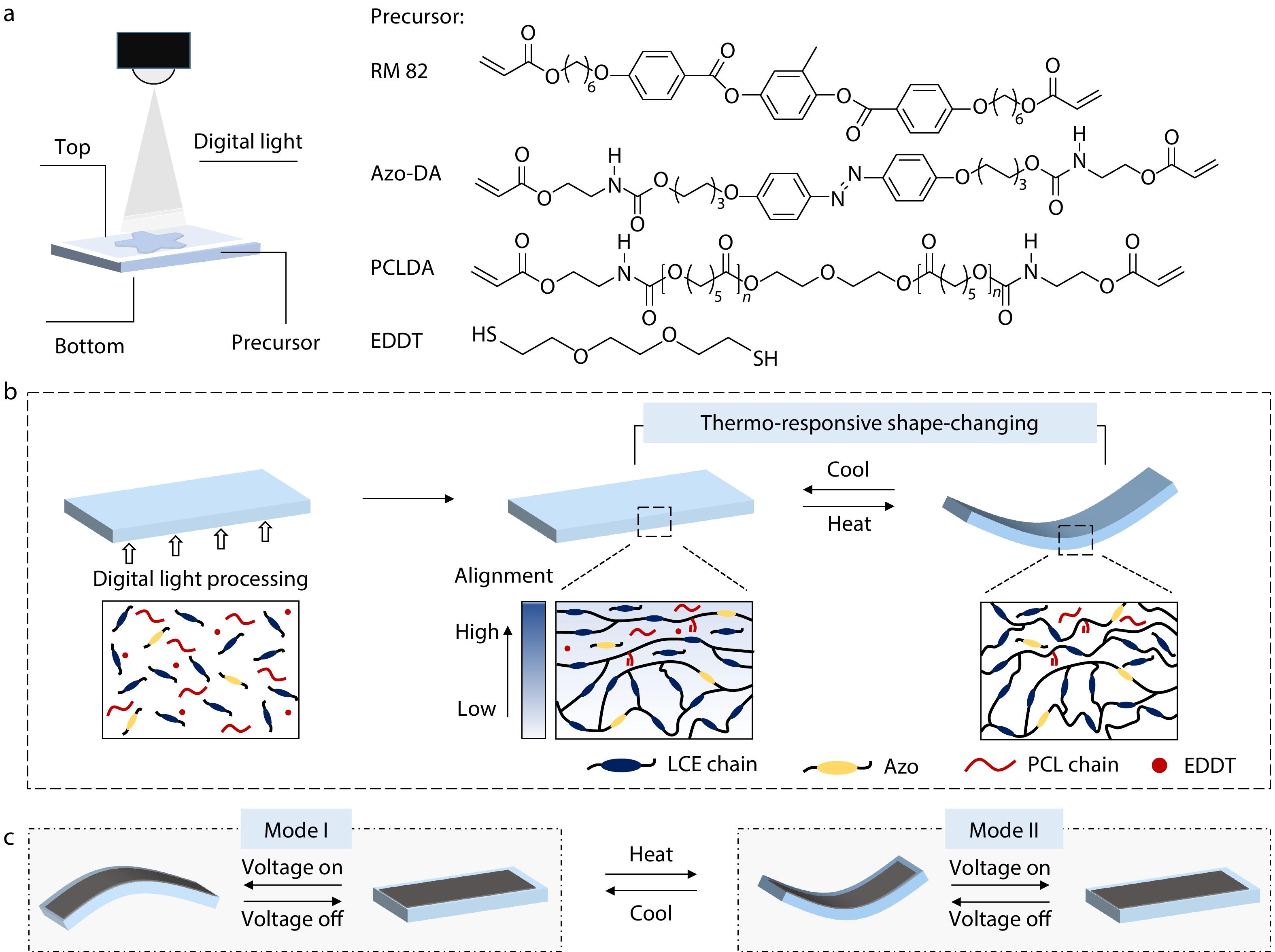 Liquid Crystalline Dielectric Elastomer with Thermo- and Light-guided Multimodal Electrical Actuations