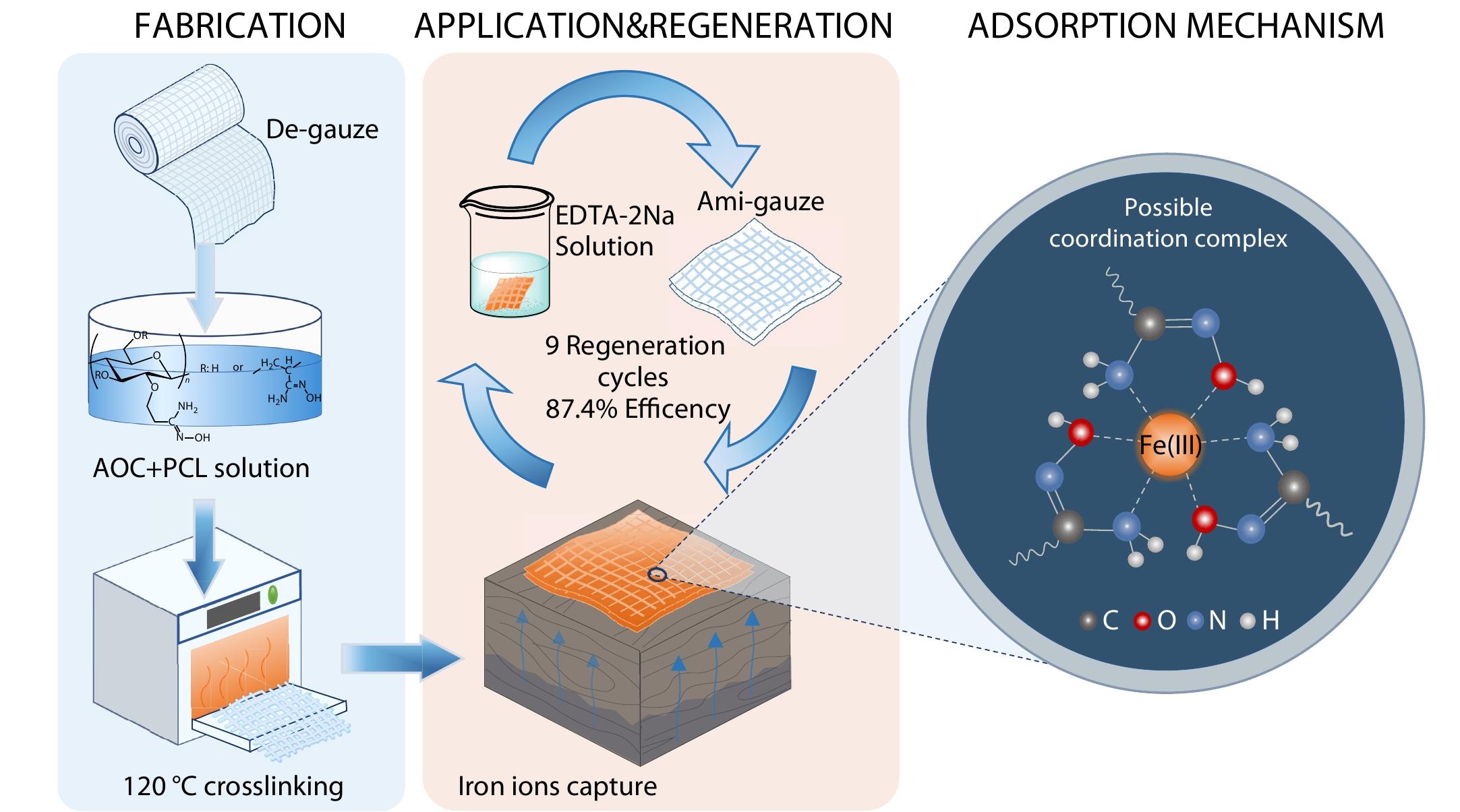 Recyclable and Easy-to-apply Amidoxime Functionalized Cellulose for Continuous Removal of Iron Ions from Shipwreck Woods