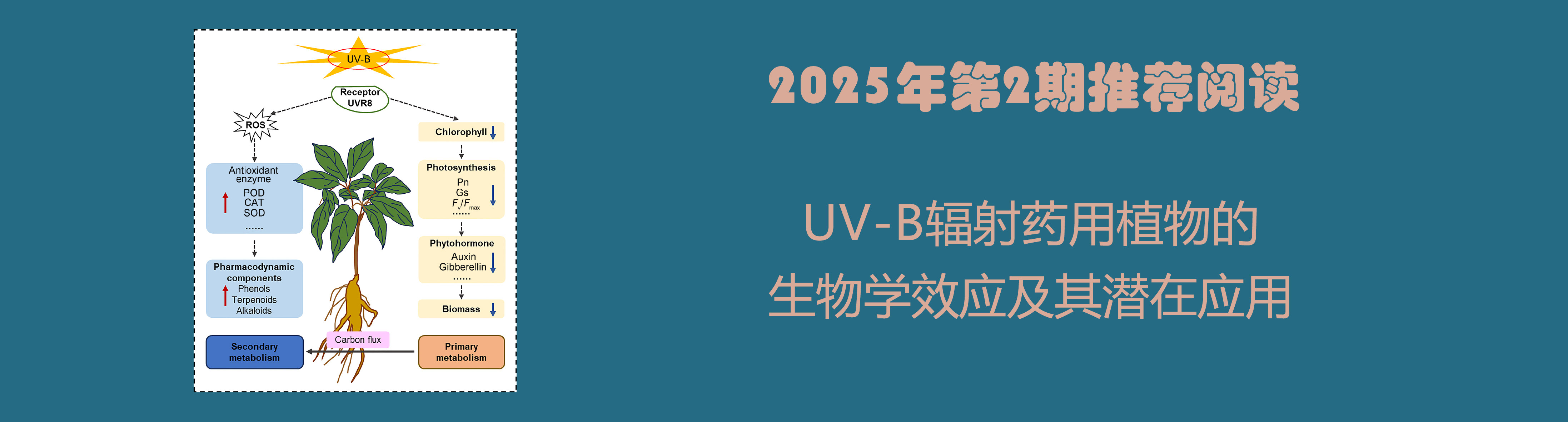 2025年2期推荐阅读