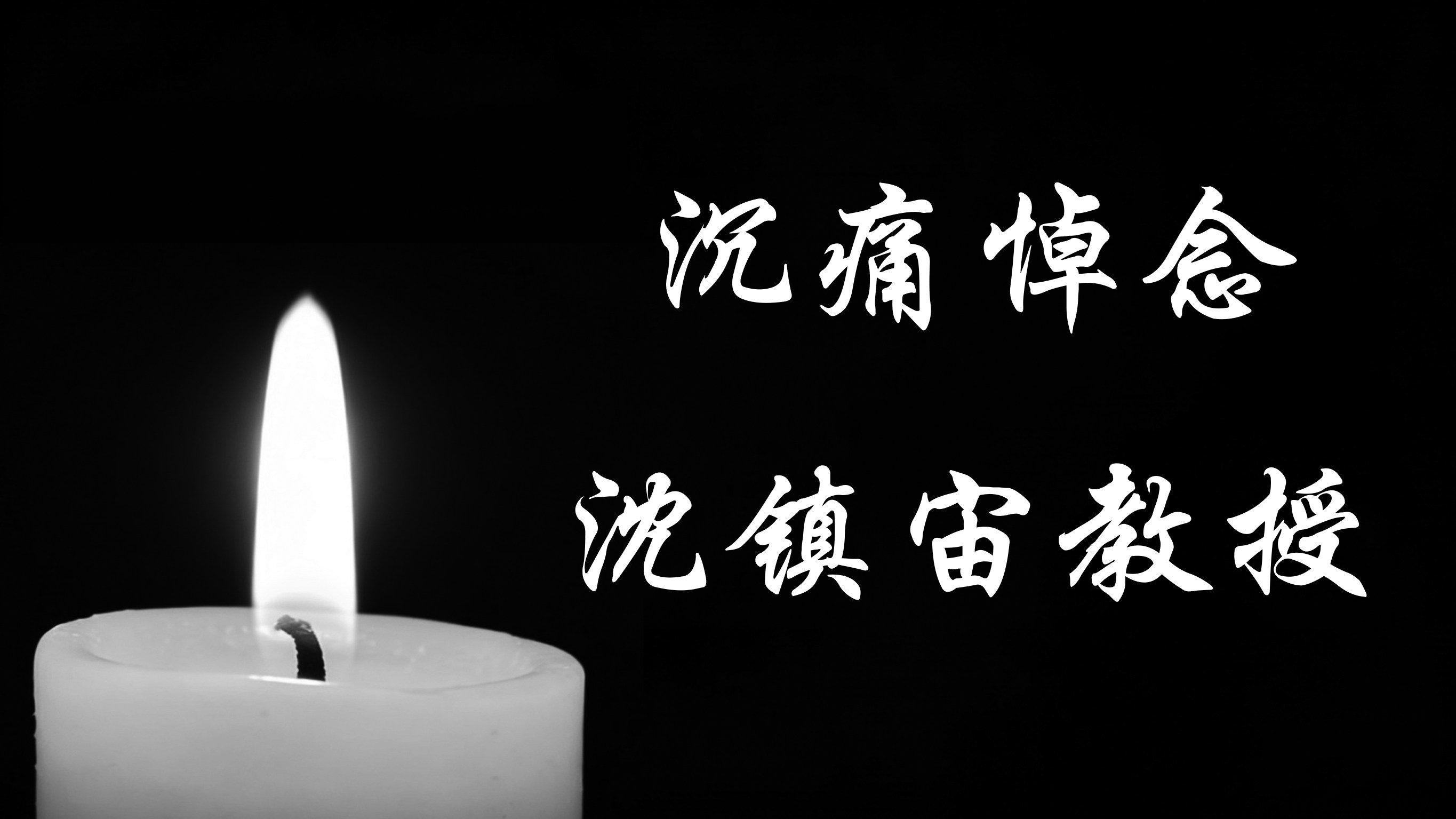 沉痛悼念沈镇宙教授