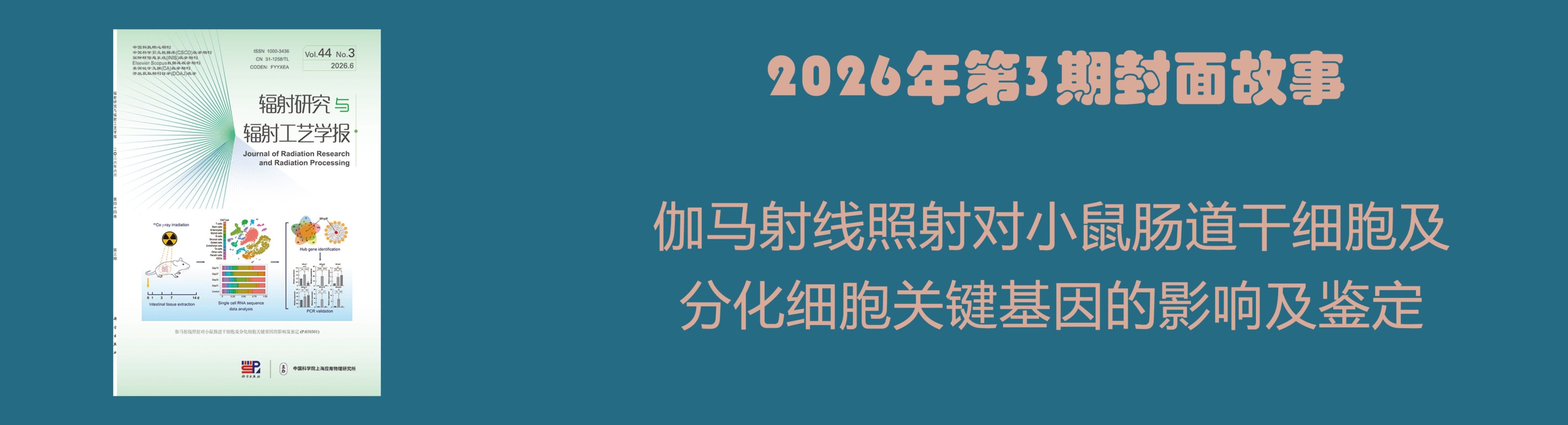 2026-3期与作者对话