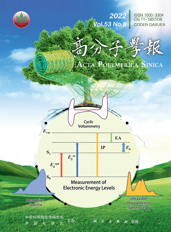 高分子学报202208