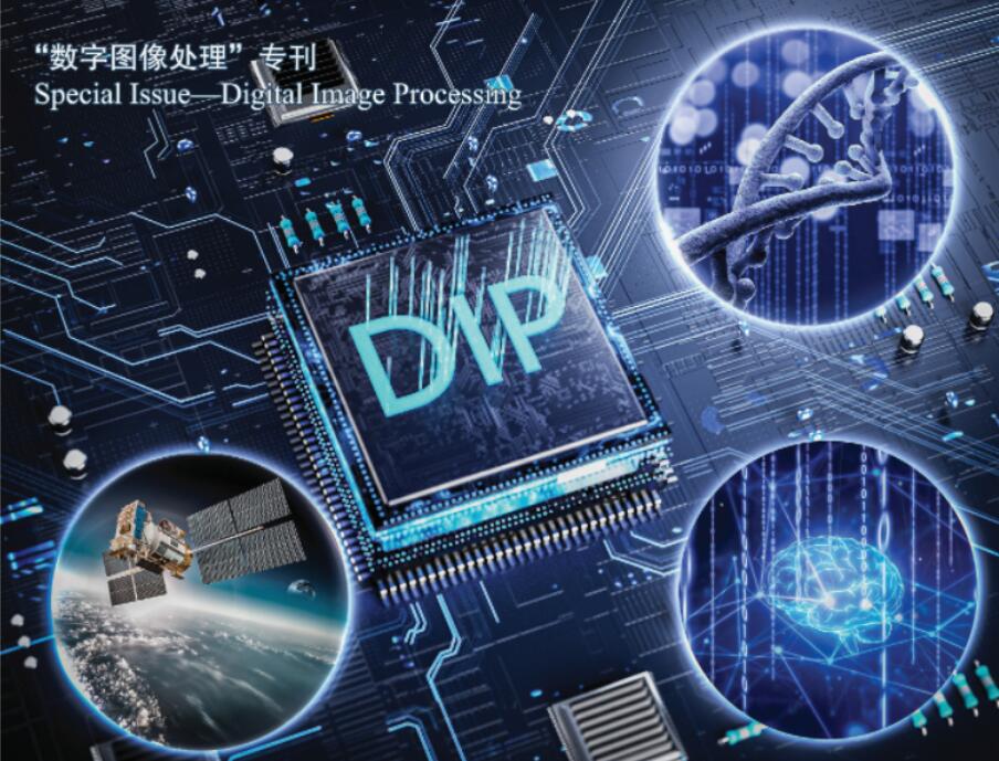 Special Issue-Digital Image Processing