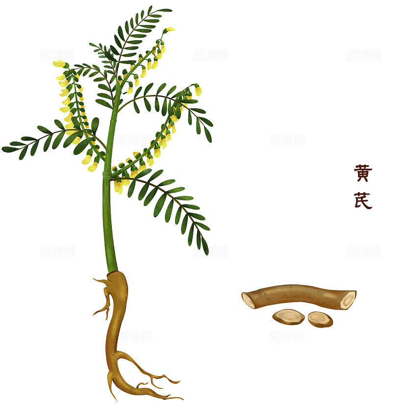 北京地区综合医院中医优势病种中西医结合诊疗方案