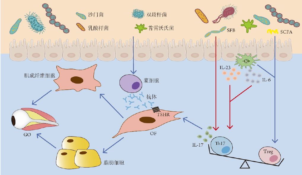 肠道菌群在疾病发生及治疗中的作用专题