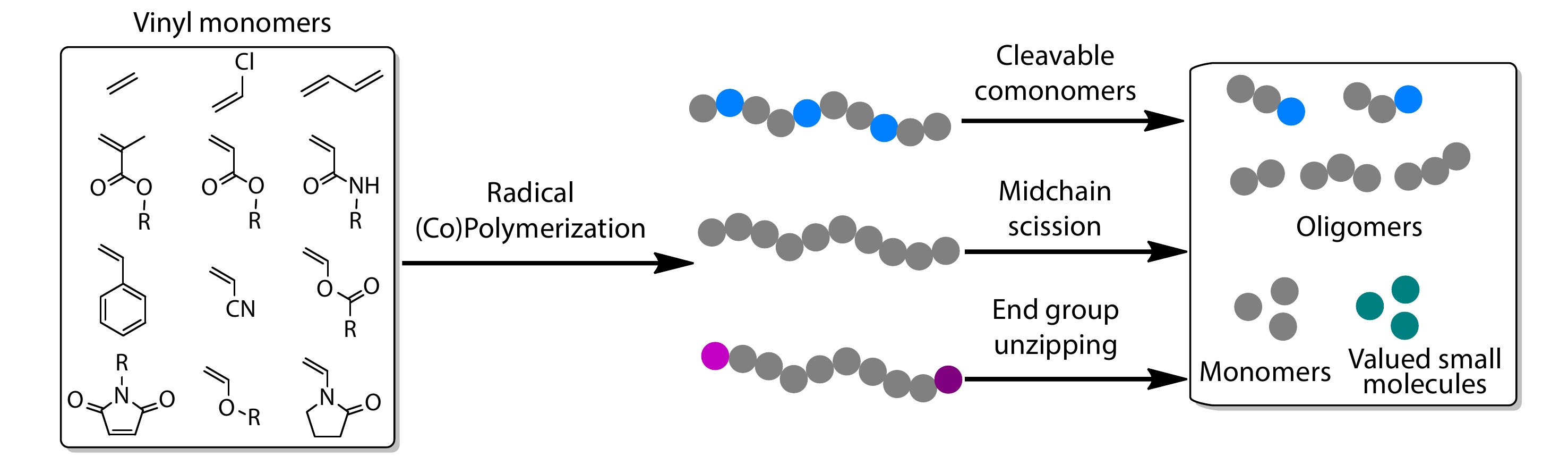 Backbone Degradable Polymers <italic style="font-style: italic">via</italic> Chain-growth Radical Polymerization