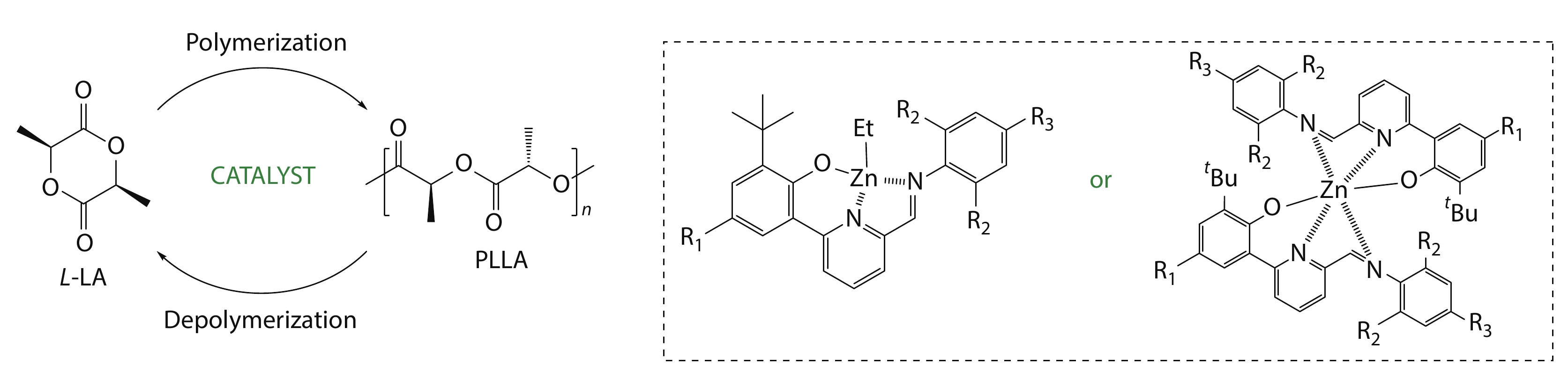 Phenylimino-pyridine-phenolate Zinc Complexes for Polylactide Synthesis and Chemical Recycling to Monomers