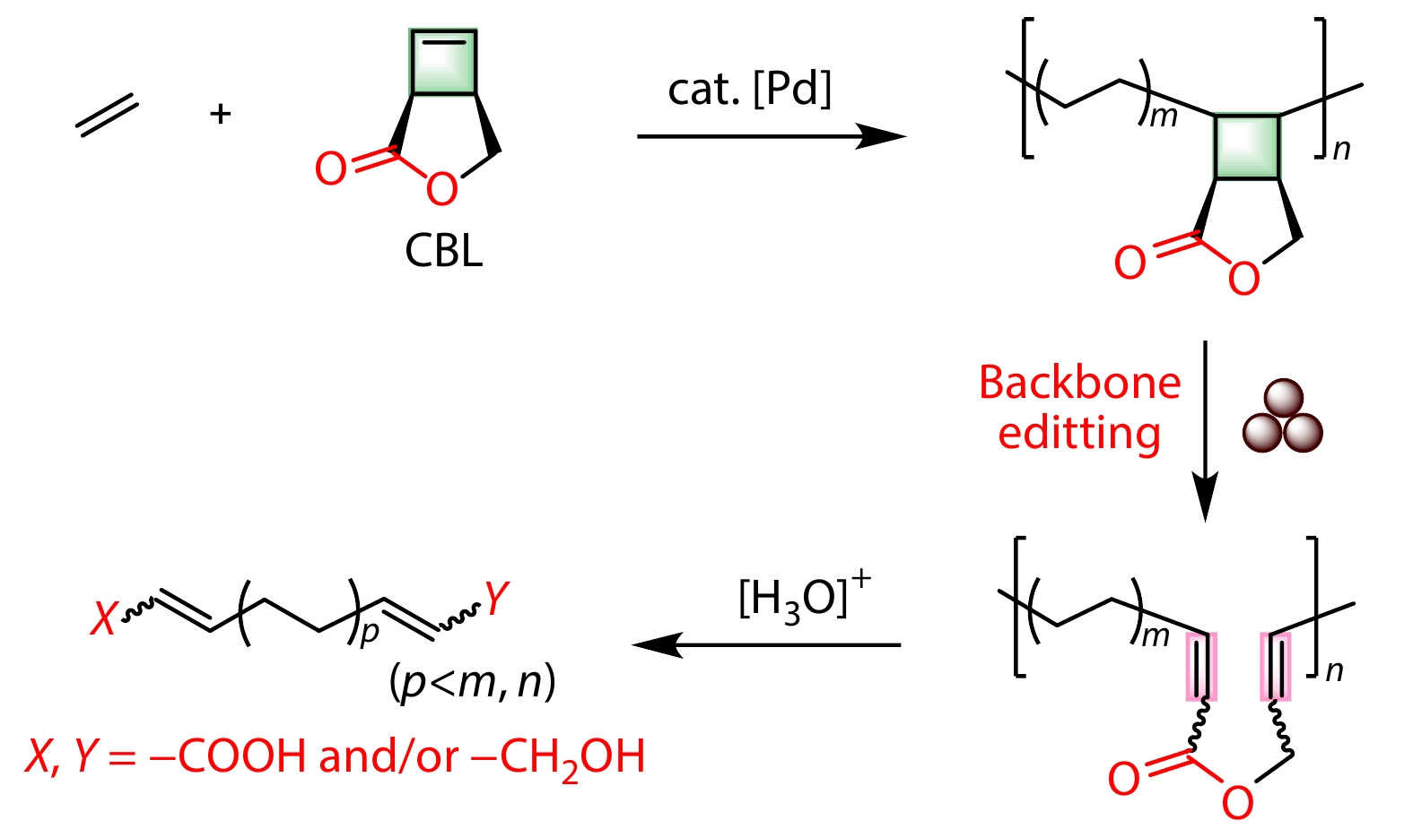 Accessing Degradable Polyethylene Materials with In-chain Ester Units <italic style="font-style: italic">via</italic> Mechanochemical Backbone Editing