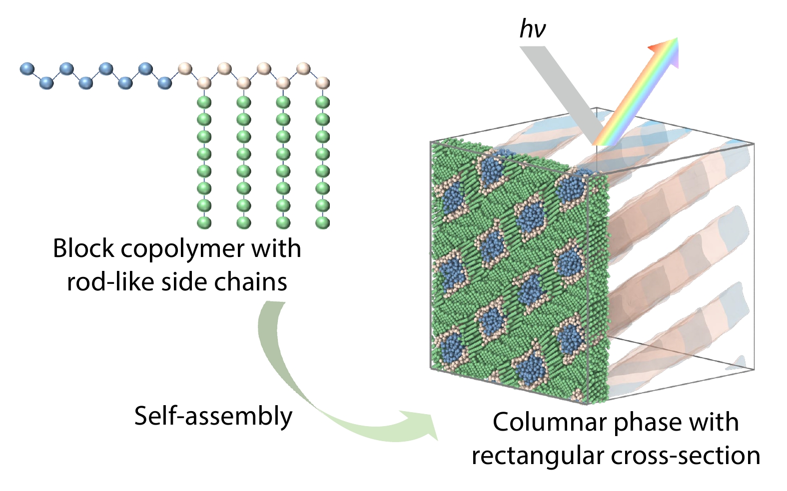 Achieving Complete Photonic Band Gaps in a Low-symmetric Rectangular Cross-sectional Columnar Phase Self-assembled from Block Copolymers