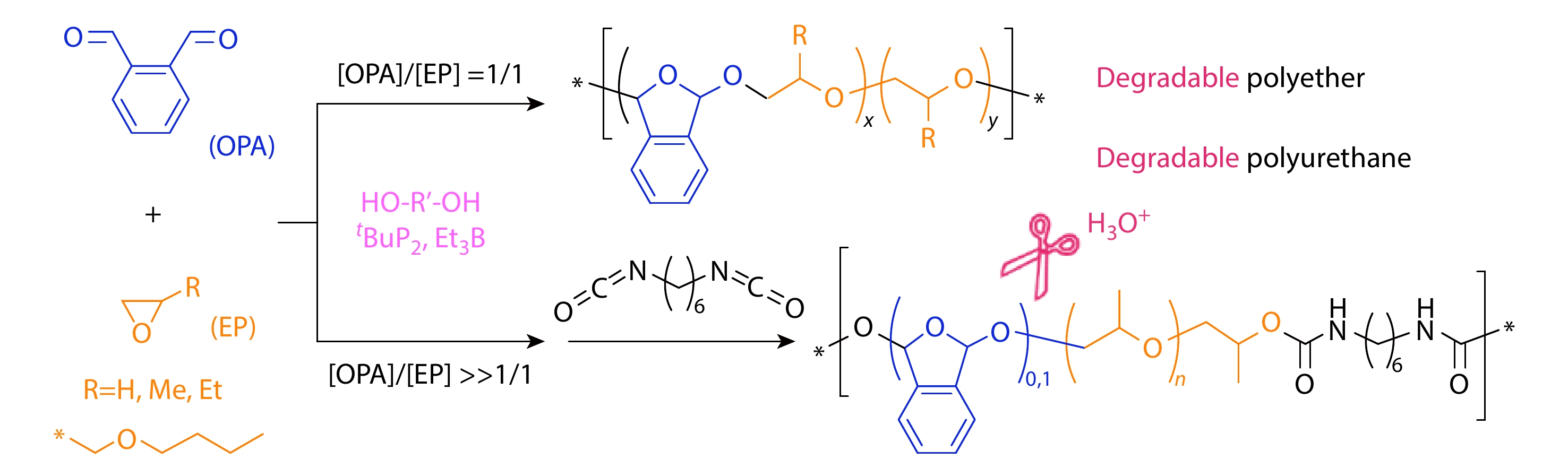 Ring-closing-opening Copolymerization of Phthalaldehyde and Epoxide towards Acid-degradable Polyether and Polyurethane