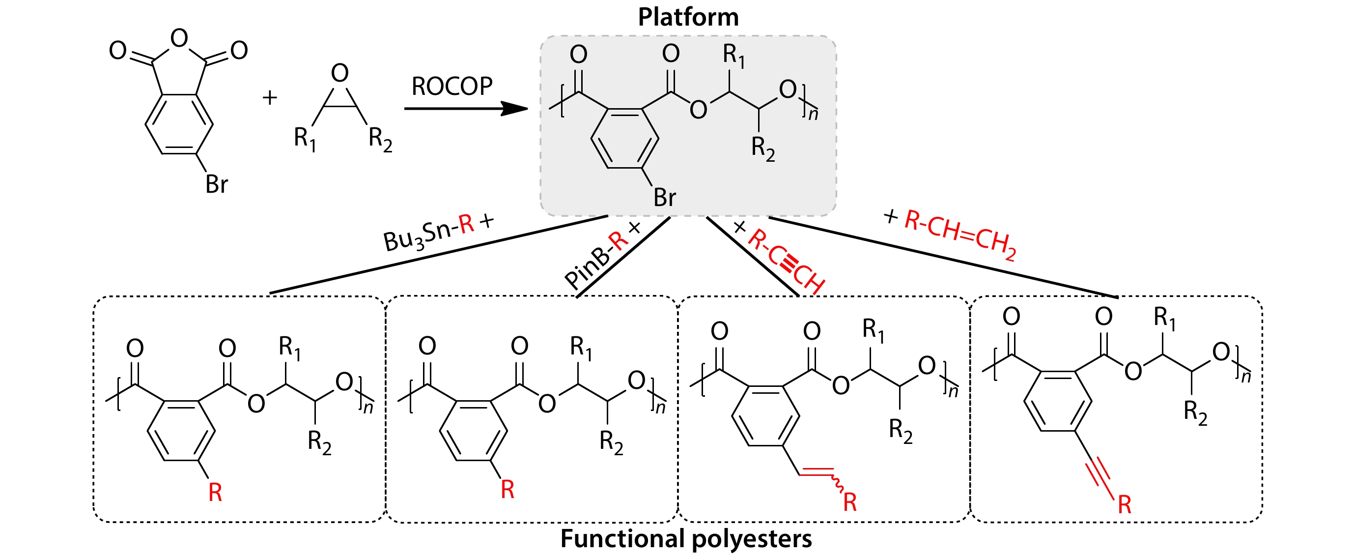 4-Bromophthalic Anhydride-based Polyesters as a Versatile Modified Platform