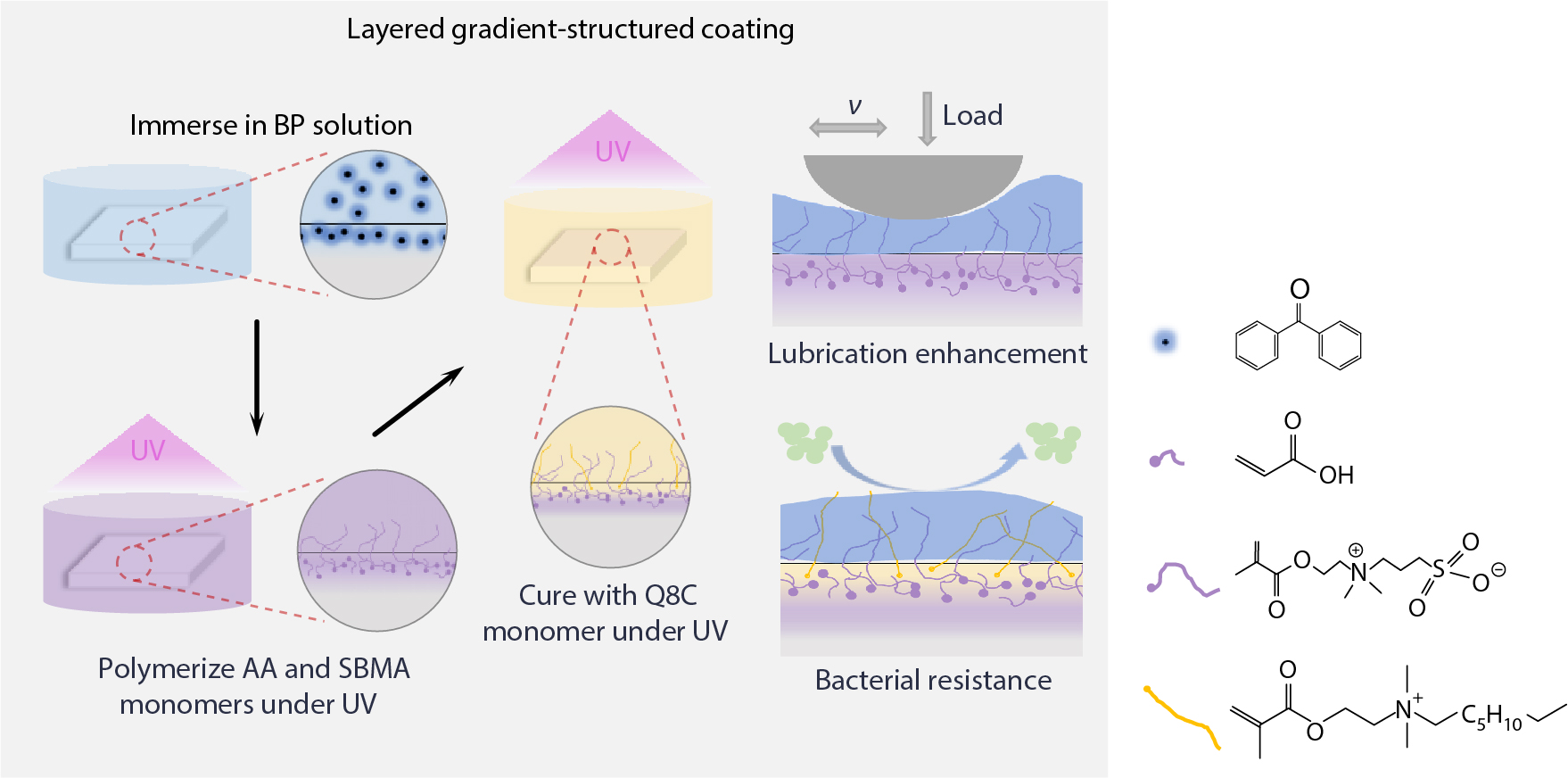 Layered Gradient-structured Coating with Sustained Lubricating Performance for the Surface Functionalization of Implant Materials