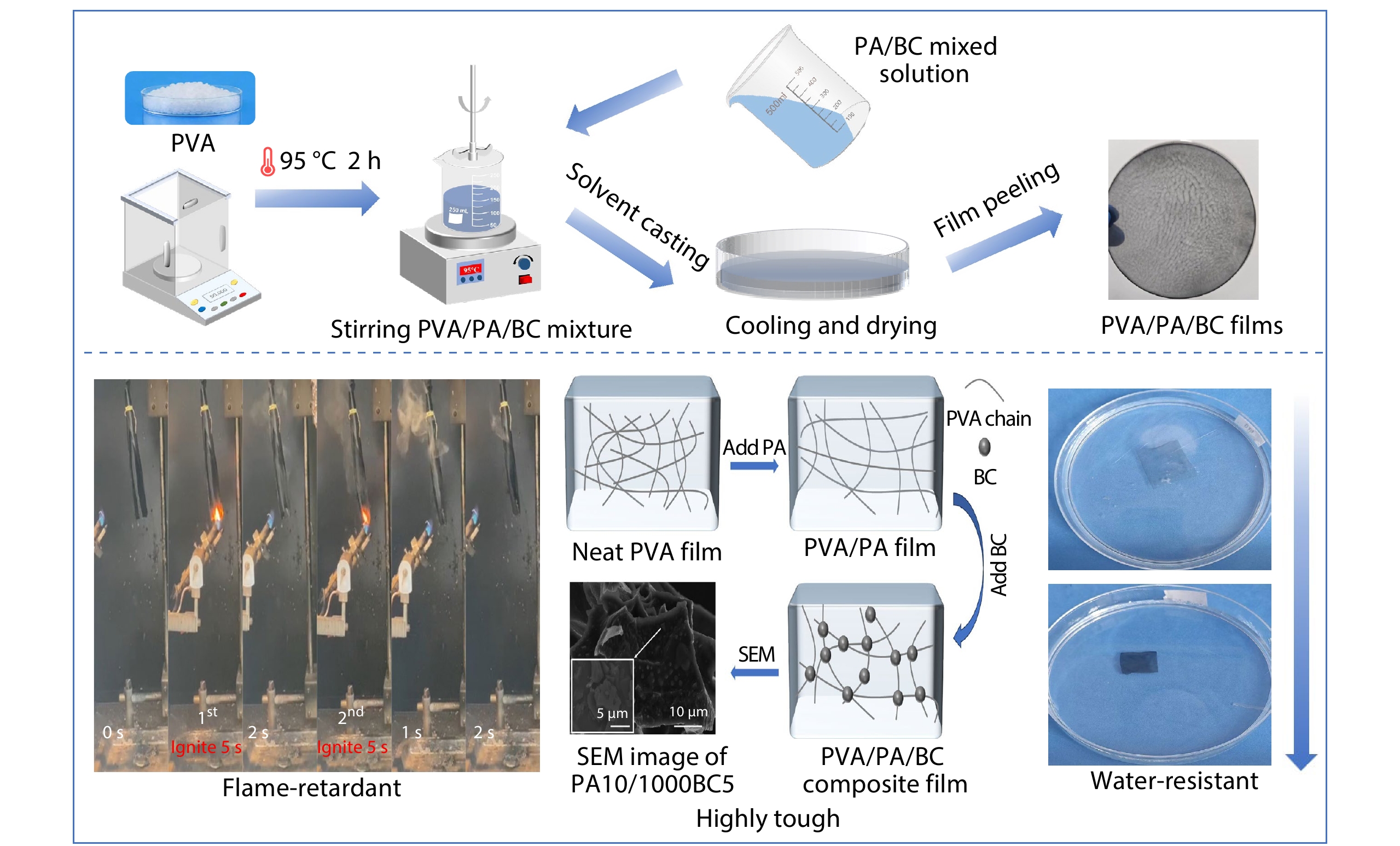 Sustainable Flame-retardant and Tough Poly(vinyl alcohol) Films with Phytic Acid and Biochar: A Simple and Effective Approach