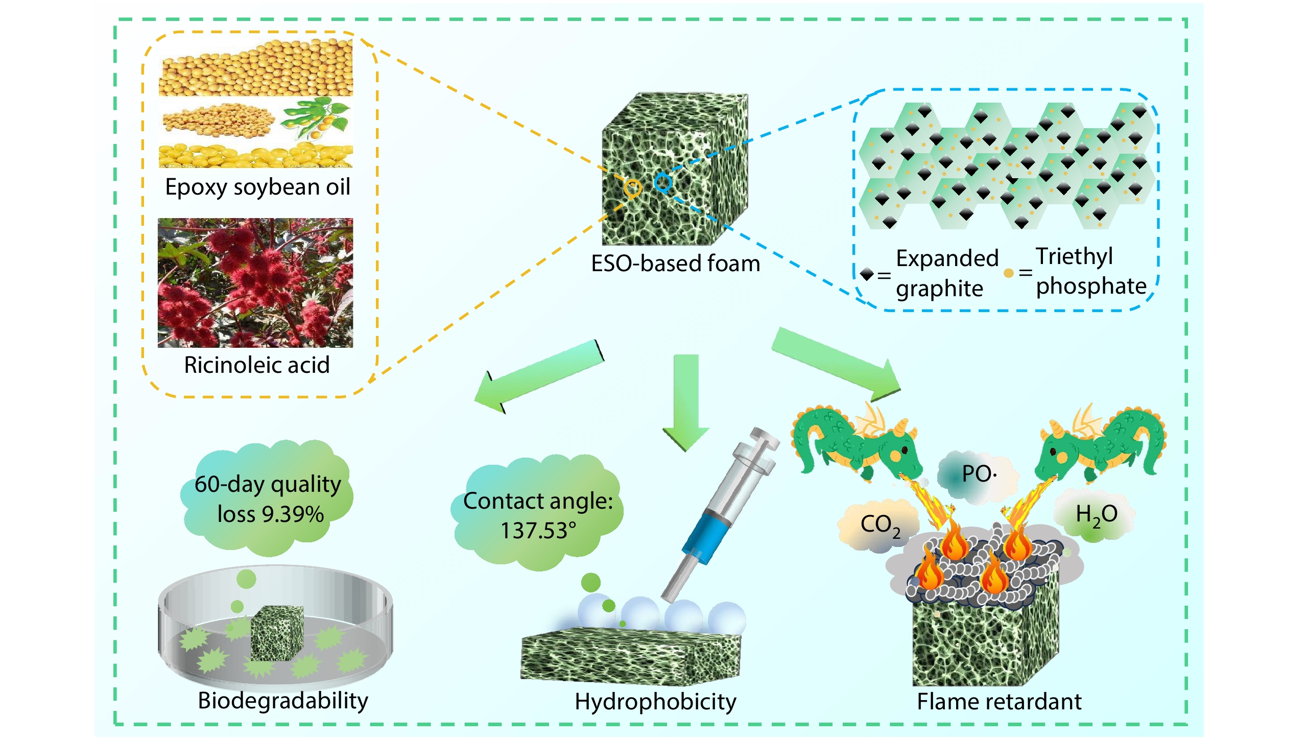 Characterization of Biodegradable Flame Retardant Rigid Polyurethane Foam Prepared Using Renewable Epoxidized Soybean Oil and Ricinoleic Acid