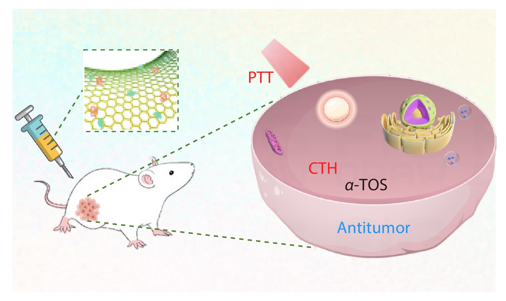 Nanocomposite from Alpha-Tocopheryl Succinate and Chitosan-modified-graphene for Efficient Inhibition on Choroidal Melanoma <italic style="font-style: italic">via</italic> a Chemotherapy-assisted-photothermal Therapy