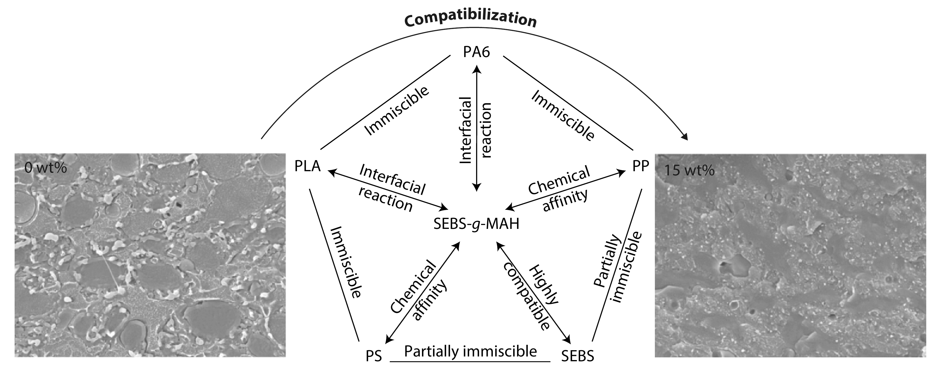 Compatibilizer-aided Fabrication of a 'High-entropy Polymer Blend'