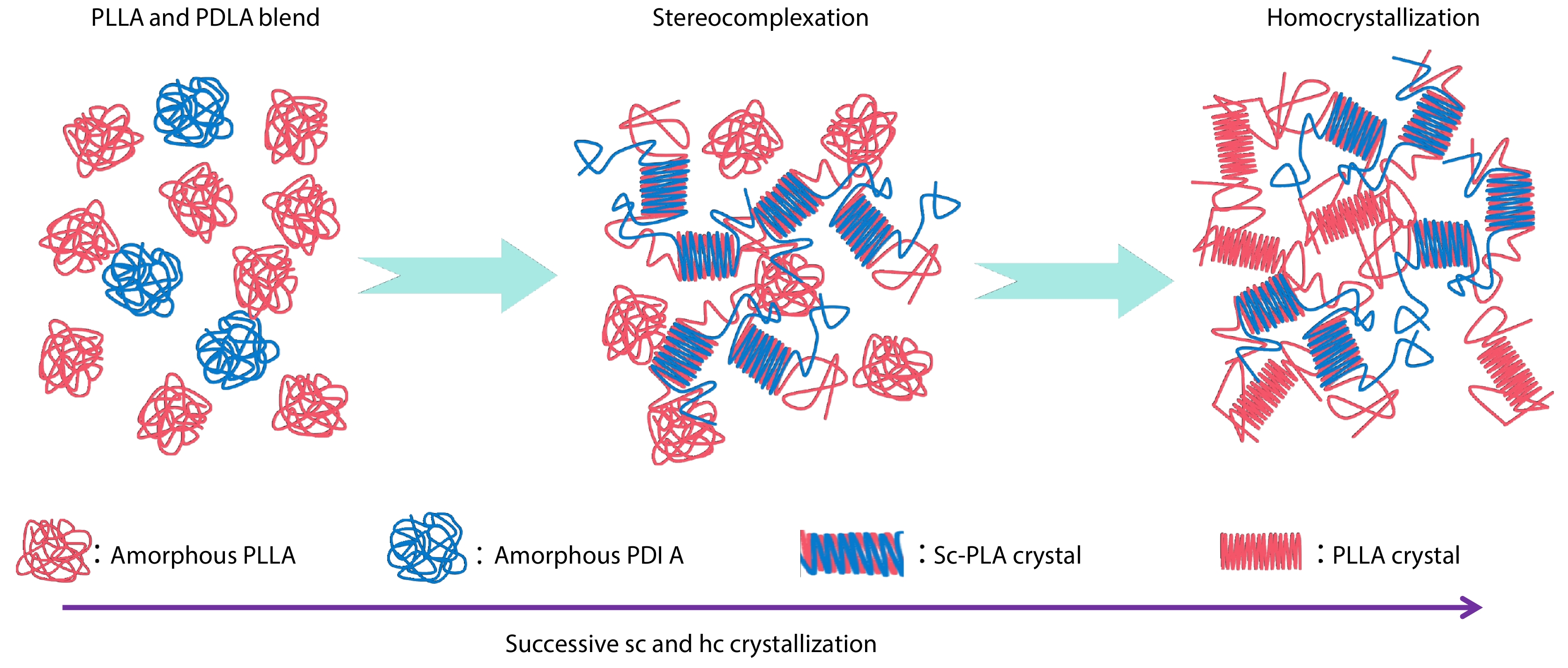 Crystallization Properties, Heat Resistance, and Hydrolytic Resistance of Poly(L-lactide)/Poly(D-lactide) Blend Enhanced by <italic style="font-style: italic">In situ</italic> Formation of Stereocomplex Polylactide