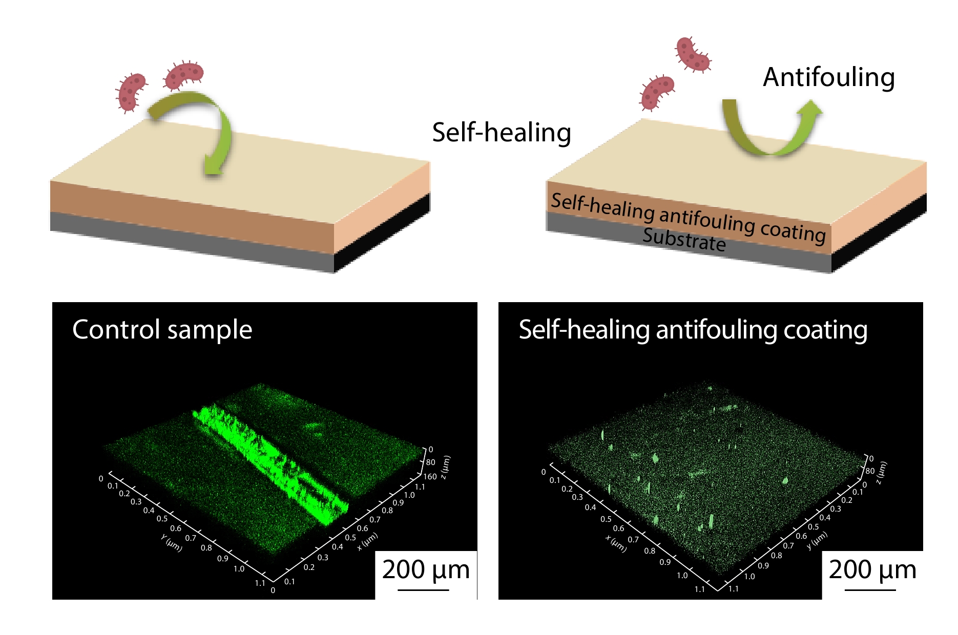 Polydimethylsiloxane-based Antifouling Polymers with Tunable Self-healing Properties in Aqueous Environments