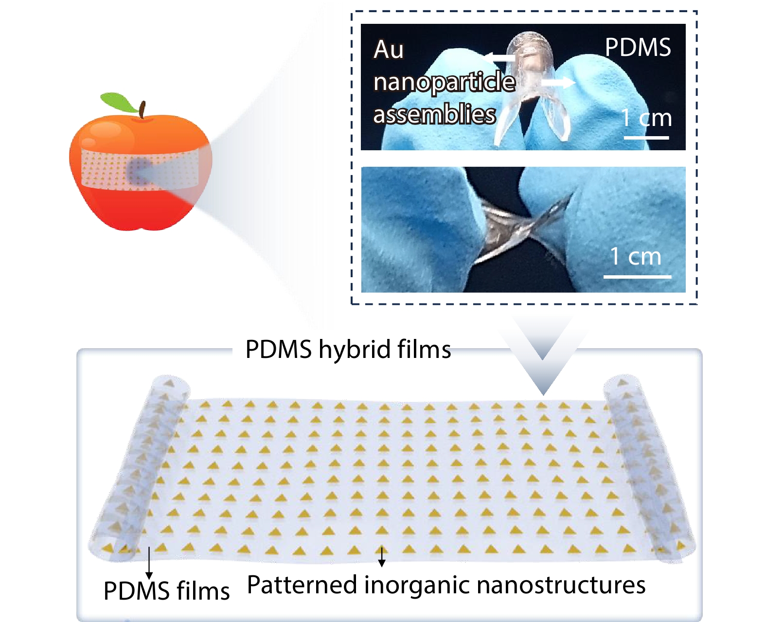 Transparent and Flexible Surface-enhanced Raman Scattering (SERS) Substrates with High SERS Performance and Stability
