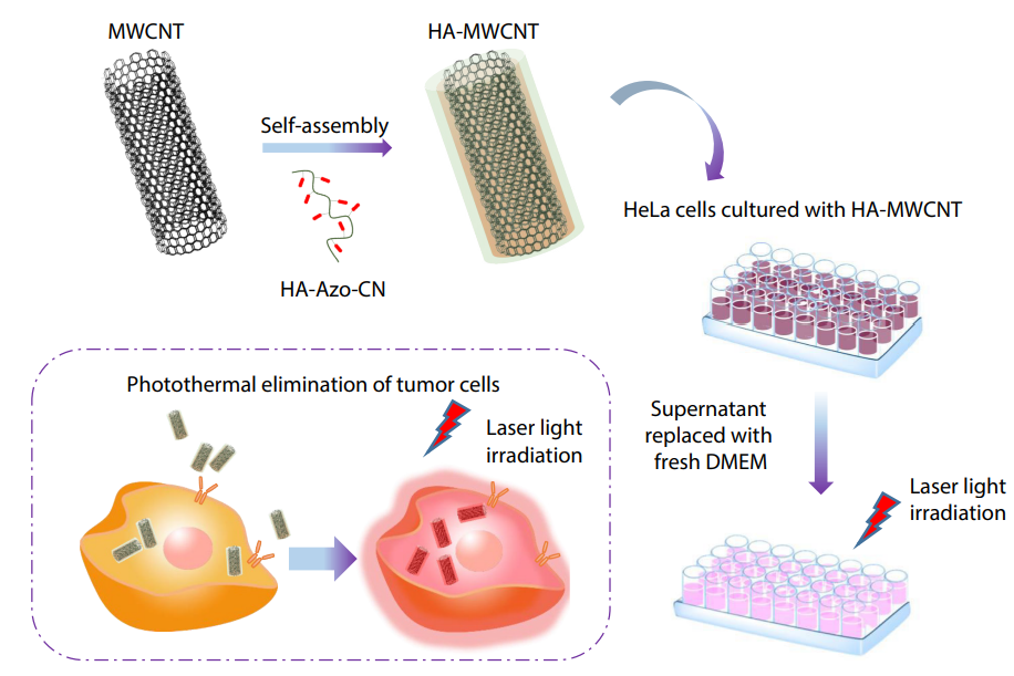 Non-covalently Functionalized Carbon Nanotube by Hyaluronic Acid Based Azo Polymer for Photothermal Elimination of Tumor Cells