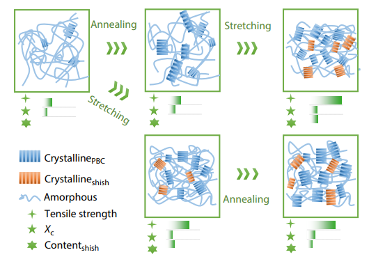 Unidirectional Pre-stretching and Isothermal Annealing Reinforced Poly(butylene carbonate) Sheets at Room Temperature