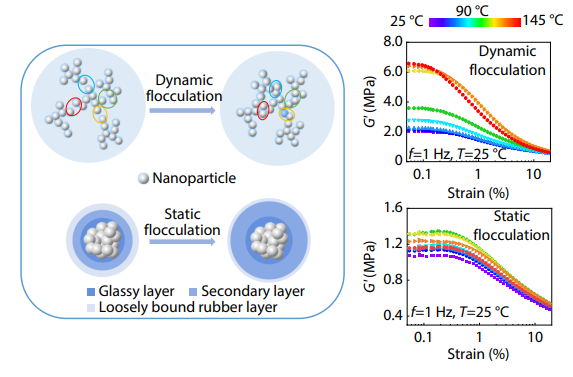 Static Flocculation in Carbon Black-filled Rubber: From Constrained Filler Motion to Polymer-driven Interfacial Reinforcement