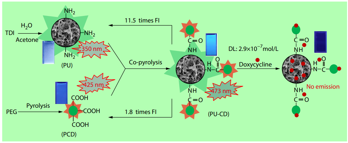 Fluorescent Polyurea-Carbon Dots: Preparation, Characterization and Use as Sensor for Doxycycline Detection