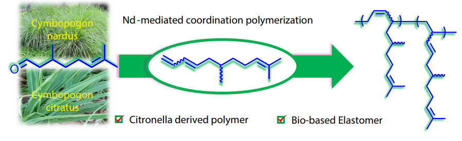Synthesis and Characterization of Terpenoid-derived Poly(6,10-dimethyl-1,3,9-undecatriene): A Biobased and Sustainable Polymer from Renewable Citronellal